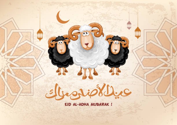 عيد اضحى مبارك | اجمل صور وتهانى وعبارات | عيد سعيد 6